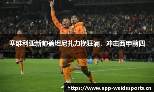韦德体育官网