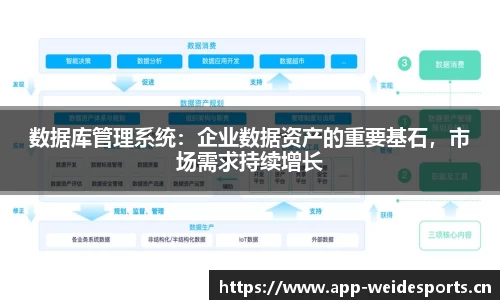 数据库管理系统：企业数据资产的重要基石，市场需求持续增长