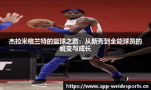 韦德体育