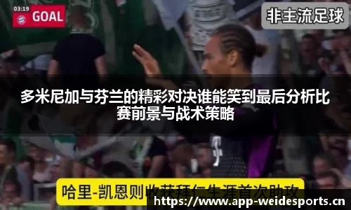 多米尼加与芬兰的精彩对决谁能笑到最后分析比赛前景与战术策略